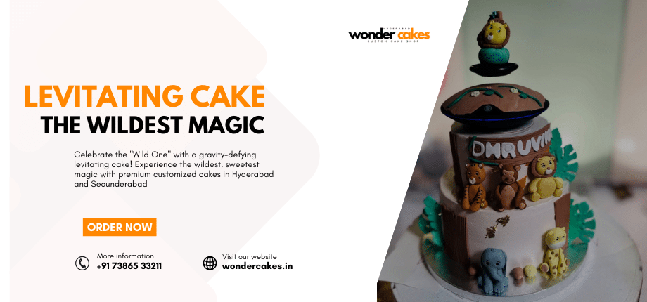 Levitating top tier birthday cake with Wild One theme in Hyderabad