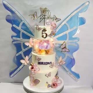 Kinetic Butterfly Wings Cake